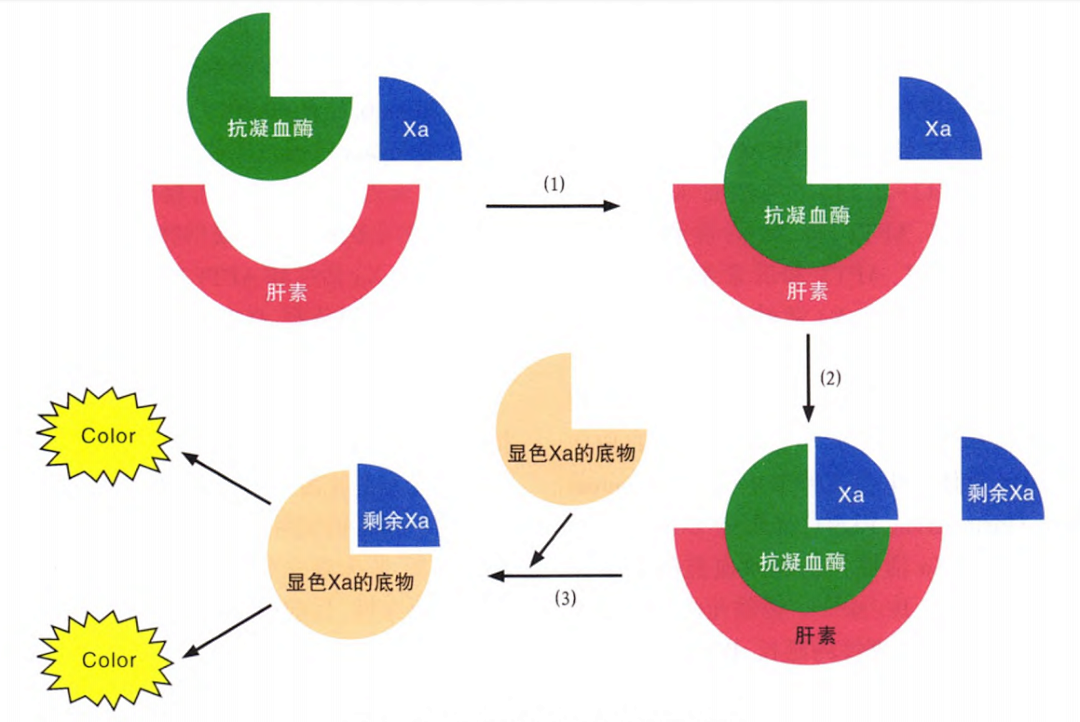 國產(chǎn)抗Xa質(zhì)量如何？多中心臨床研究來告訴你！
